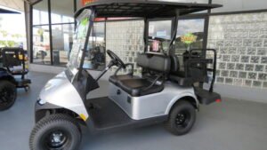 2024 E-Z-GO Valor EX1 Gas PTV | Platinum Finish | Independent Suspension | Unlimited Range Sale!