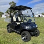 2025 Evolution Turfman 200 for Sale | Electric Utility Cart with Cargo Box